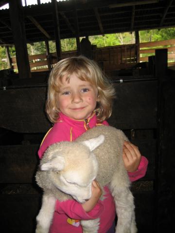 Annette lamb