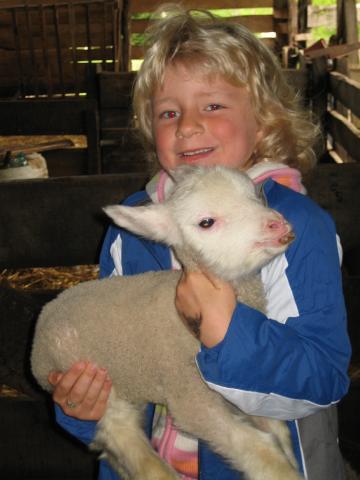 Dominique lamb