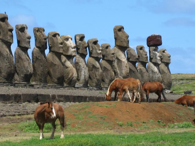 horses by moai