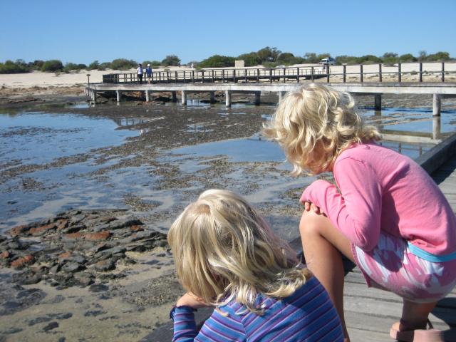 kids-stromatolites