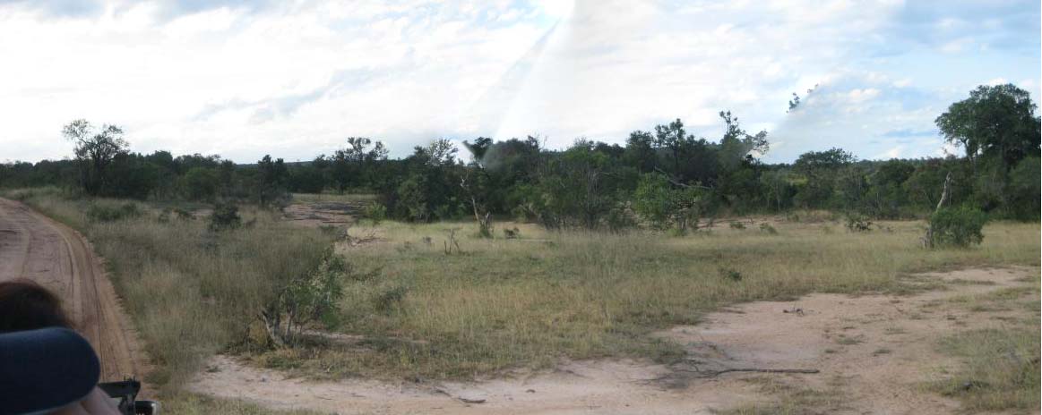 Kruger_Panorama (67K)