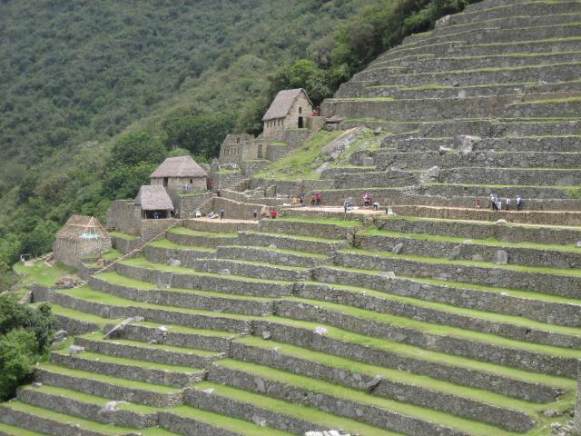 Machu_Picchu_Terrace